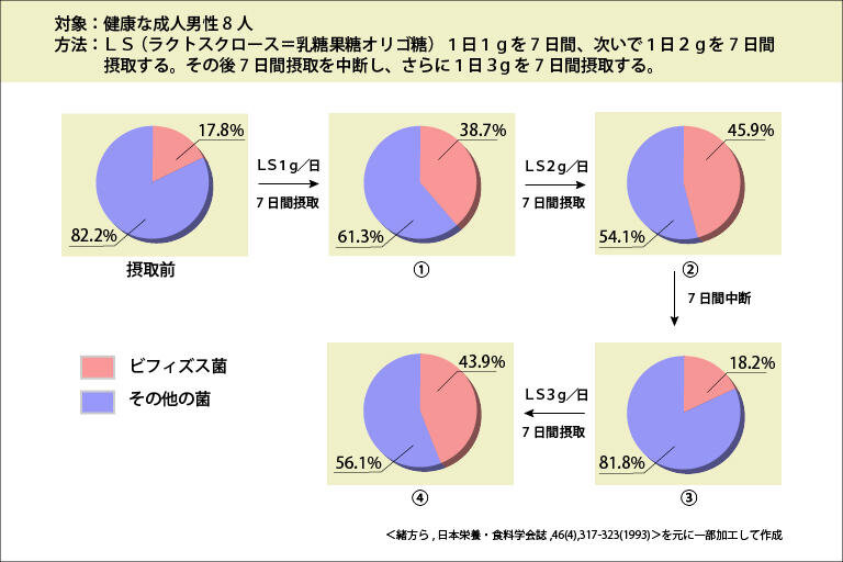 オリゴのおかげで一週間ごとに腸内の善玉菌が増えていく様子のイラスト