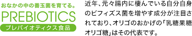 おなかの中の善玉菌を育てる。PREBIOTICSプレバイオティクス食品