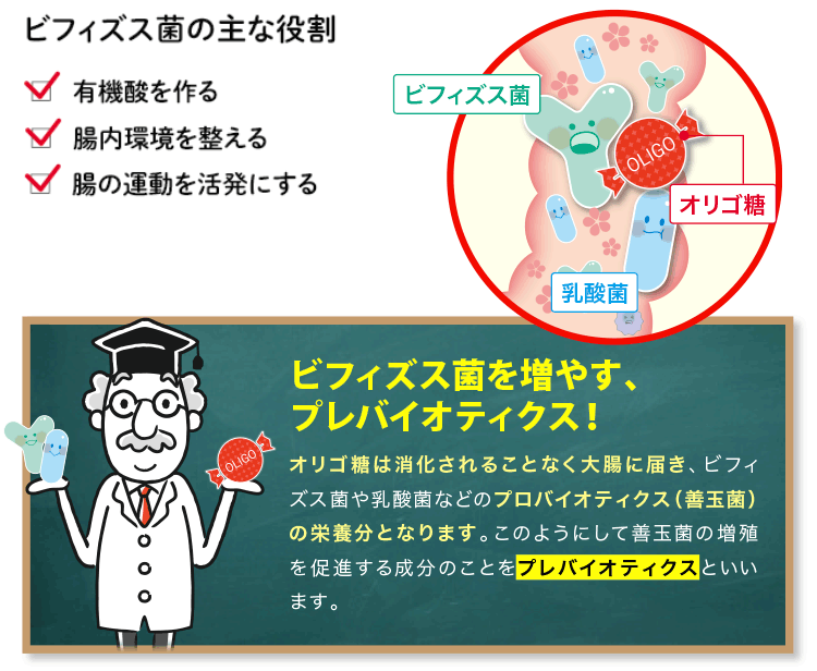 ビフィズス菌を増やす、プレバイオティクス！